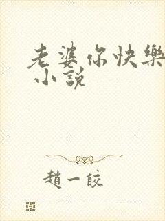 老婆你快乐吗宋 小说