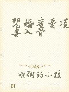 闪婚蜜爱凌总宠妻入骨封面