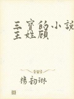 三宝的小说,男主姓顾