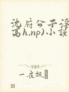 沈府公子淫史(高h,np)小说