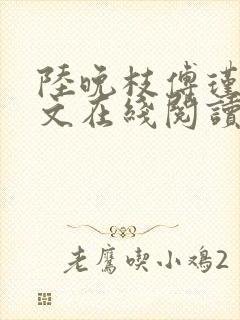 陆晚枝傅瑾川全文在线阅读封面