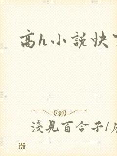 高h小说快穿