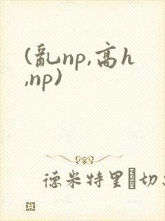 (乱np,高h,np)