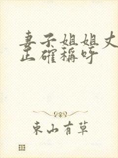 妻子姐姐丈夫的正确称呼