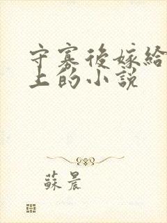 守寡后嫁给了皇上的小说