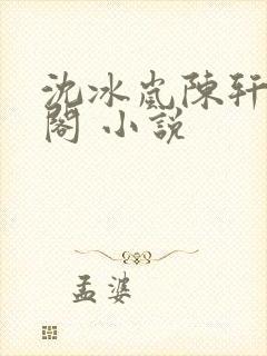 沈冰岚陈轩笔趣阁 小说
