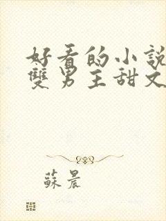 好看的小说推荐双男主甜文