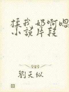 揉我奶啊嗯高潮小说片段封面