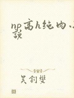 np高h纯肉小说