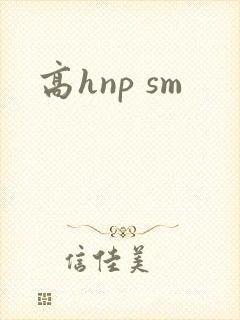 高hnp sm