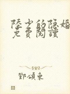 陆少的隐婚罪妻免费阅读