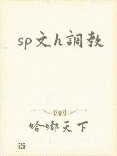 sp文h调教