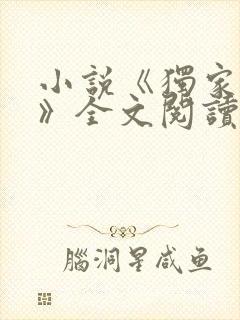 小说《独家小说》全文阅读