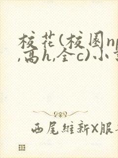 校花(校园np,高h,全c)小说