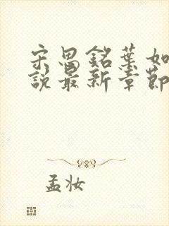 宋思铭叶如云小说最新章节更新时间