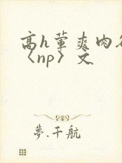 高h荤爽肉欲文〈np〉文