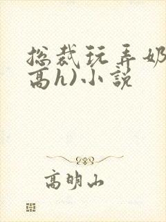 总裁玩弄奶头(高h)小说封面