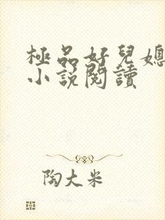 极品好儿媳秦雨小说阅读