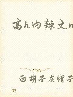 高h肉辣文np