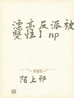 漂亮反派被烂【双性】np