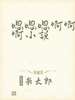 嗯嗯嗯啊啊啊啊啊小说封面