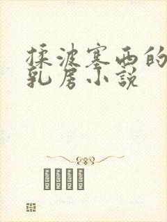 揉波塞西的大白乳房小说