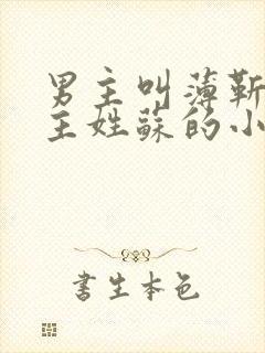 男主叫薄靳言女主姓苏的小说