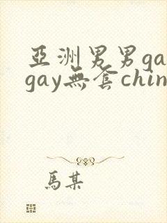 亚洲男男gaygay无套chinese