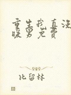 重生我真没想当暖男免费