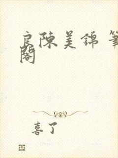 良陈美锦 笔趣阁