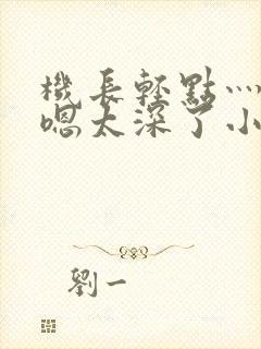 机长轻点灬太粗嗯太深了小说