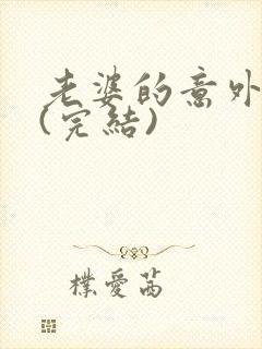 老婆的意外事件(完结)封面