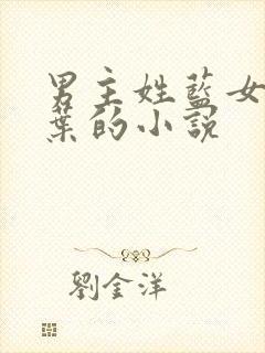 男主姓蓝女主姓叶的小说