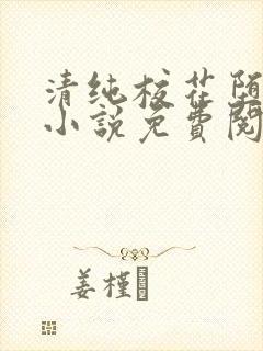 清纯校花堕落记小说免费阅读allimine