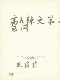 高h辣文第二书包网
