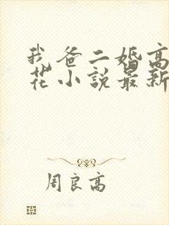 我爸二婚高冷校花小说最新章节列表封面