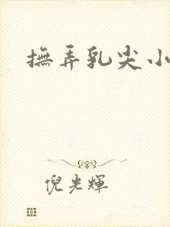 抚弄乳尖小说