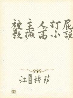 被主人打屁股调教撅高小说