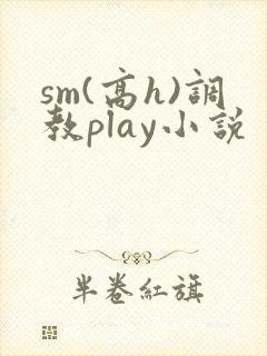 sm(高h)调教play小说封面