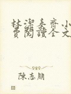 林洁秦齐小说免费阅读全文最新章节封面