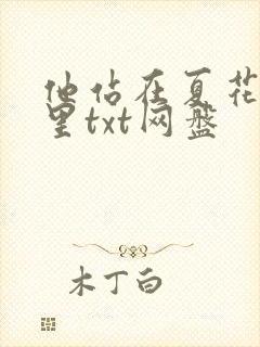 他站在夏花绚烂里txt网盘