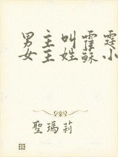 男主叫霍霆琛的女主姓苏小说