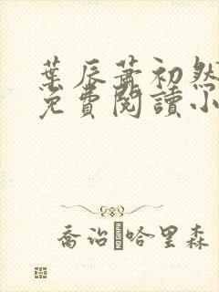 叶辰萧初然全文免费阅读小说最新封面