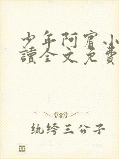 少年阿宾小说阅读全文免费无删减封面