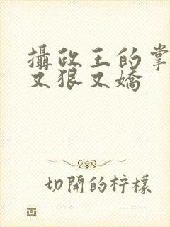 摄政王的掌心宠又狠又娇