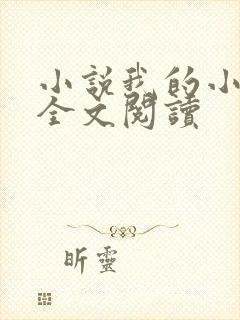 小说我的小后妈全文阅读