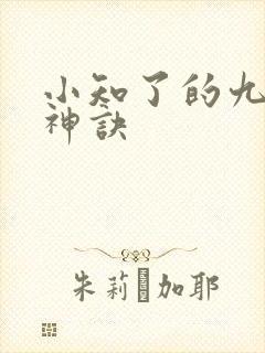 小知了的九天斩神诀封面