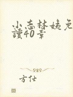 小志林姨免费阅读40章