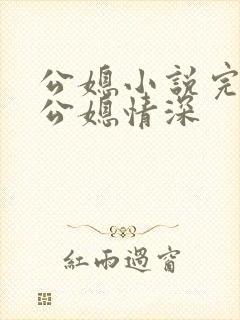 公媳小说完结版公媳情深