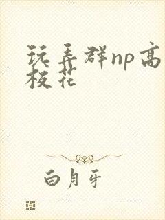 玩弄群np高h校花